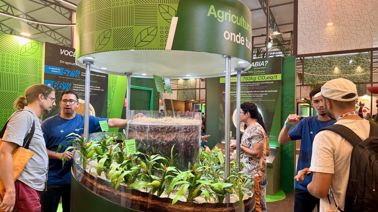 Belém no mapa da economia verde: a virada sustentável impulsionada pela COP30