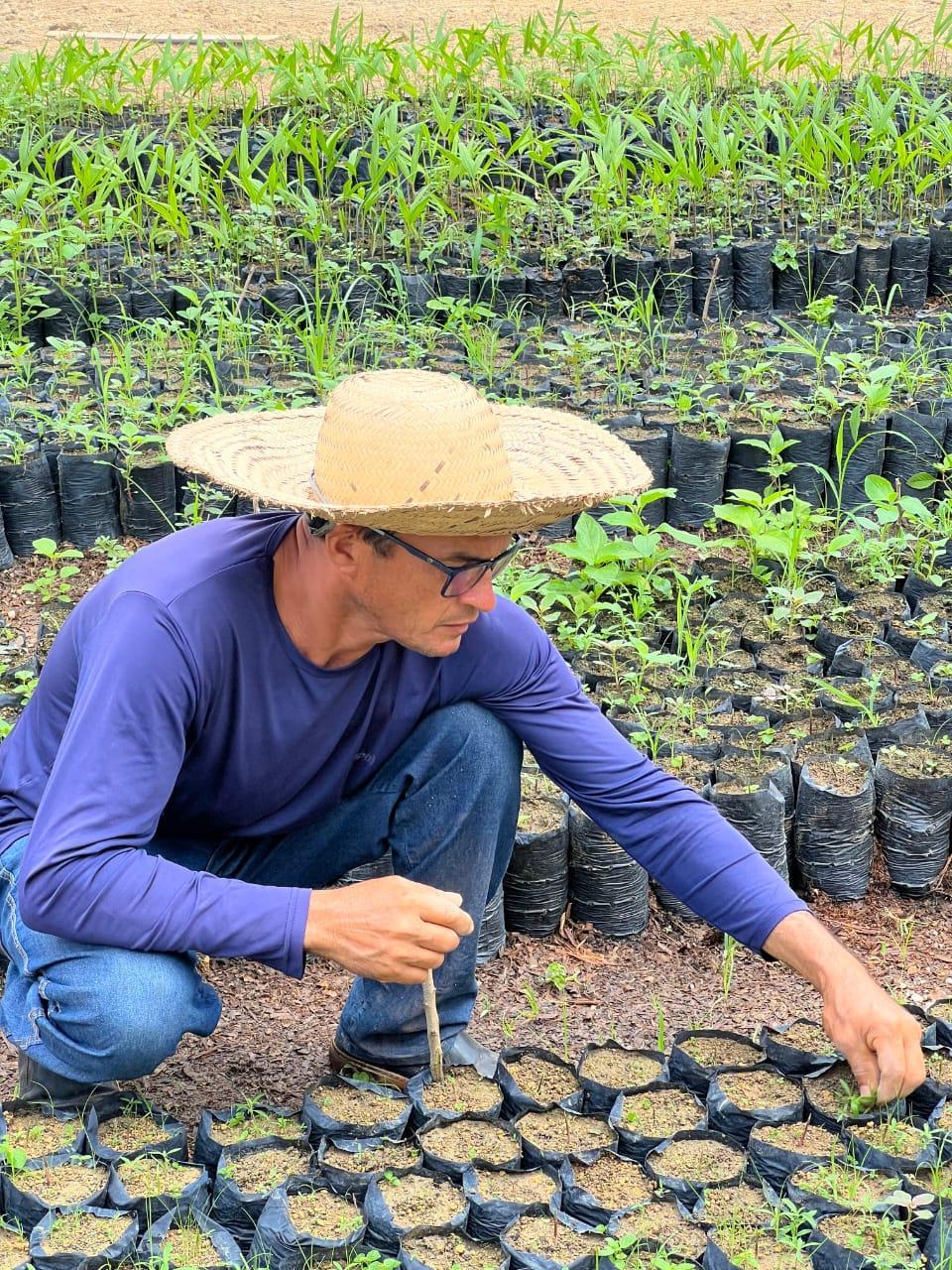 Fórum Territorial celebra conquistas do primeiro ciclo do Programa Paricá e fortalece alianças